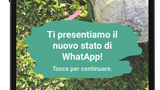 WhatsApp introduce ''Status'': la copia delle storie di Facebook, Instagram e Snapchat. Ecco come funziona