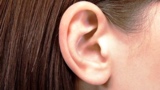 Nec sviluppa la scansione biometrica che distingue l'orecchio umano