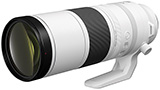 Superzoom e supertele: ecco Canon RF 200-800mm F6.3-9.0 IS USM per la fotografia naturalistica