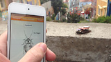 Roboroach, il kit per controllare una blatta viva con lo smartphone