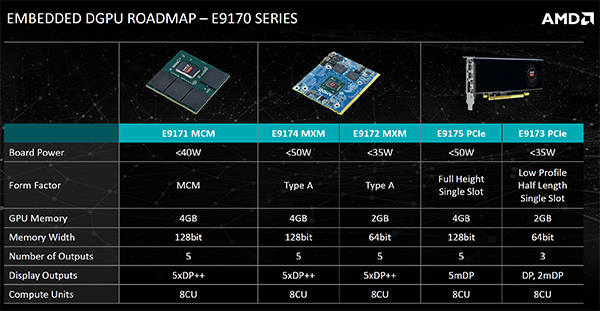 amd_embedded_e9170_1.jpg (148888 bytes)