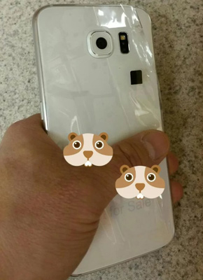 Samsung Galaxy S6 prototipo