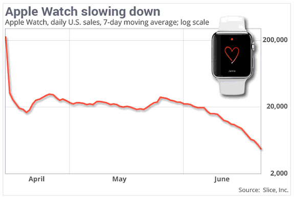 Apple Watch, declino nelle vendite