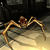 Doom 3 e processori: analisi della scalabilit&agrave;