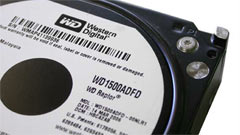 Western Digital Raptor WD1500, solo o in RAID?