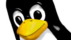 Who Write Linux: uno sguardo quantitativo allo sviluppo del Pinguino