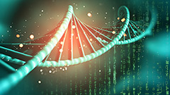 Creato il primo virus informatico tramite DNA: è il caso di allarmarsi?