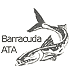 Hard disk Seagate Barracuda ATA IV 80GB