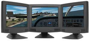 fs2002_3mon.jpg (11655 byte)