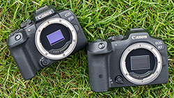 Canon EOS R7 e R10: primo contatto con le mirrorless APS-C