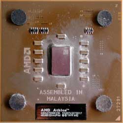 cpu_thoroughbred_s.jpg (8615 byte)