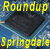 Springdale roundup: 11 schede madri Pentium 4 Dual DDR400