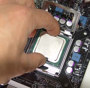 socket_2_s.jpg (17790 bytes)