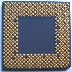 duron_back.jpg (15271 byte)