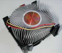 dissi_back_s.jpg (6283 byte)