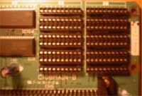 banchi.jpg (13391 byte)