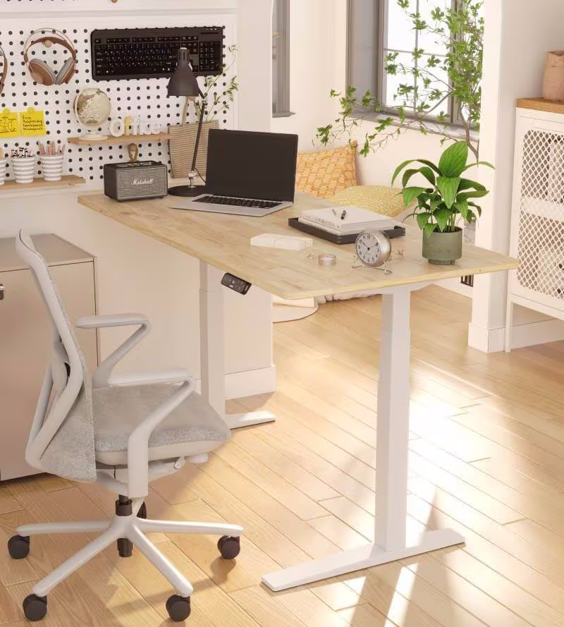 FlexiSpot E7B-PRO