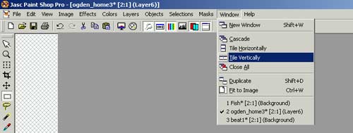 window.jpg (14203 byte)