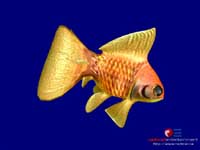 fish_on550_small.jpg (10875 byte)