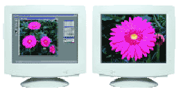 dh3.gif (8139 byte)