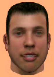 viso_3d.jpg (8528 byte)