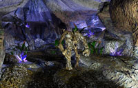Iritor1_s.jpg (11239 byte)