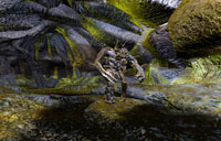Iritor2_s.jpg (11068 byte)