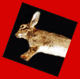 L'Avatar di jac_iso