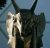 L'Avatar di anubis