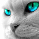 L'Avatar di Bons