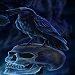 L'Avatar di BlueRaven