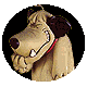 L'Avatar di Sciumegu