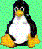 L'Avatar di Linuxbox@nova