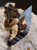 L'Avatar di anatase2