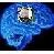 L'Avatar di Overclocked Brain
