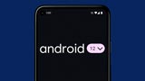 Android 12: ecco come scaricare sul vostro Google Pixel il nuovo sistema operativo da subito