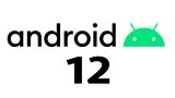 Android 12 Developer Preview disponibile! Ecco tutte le novità, gli smartphone supportati e come installarla
