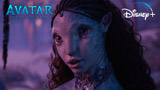 Avatar: La Via dell'Acqua, il film record di incassi arriva su Disney+