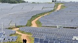 Da grande inquinatore alla neutralit&agrave; carbonica, ecco il futuro della Cina