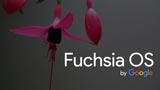 Huawei sta testando Fuchsia OS con Honor Play