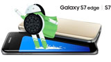 Samsung Galaxy S7 e S7 Edge: Android Oreo in arrivo a maggio (forse). Galaxy A entro giugno