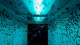 Annunciati i vincitori del concorso fotografico Italian Sustainability Photo Award 2023