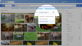 QNAP aggiorna il motore di ricerca Qsirch alla versione 5.4.1. Arrivano le ricerche semantiche