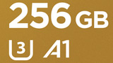 Svendita SanDisk e WD: microSD Exreme da 256GB costa 19,39 (meno della 128GB), ma attenzione anche alle altre offerte!