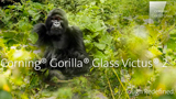 Gorilla Glass Victus 2: è lui il vetro più resistente anche a cadute da un metro
