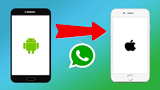 WhatsApp, trasferire le chat da Android a iPhone e viceversa è ora pubblico! Come funziona?