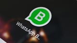 WhatsApp Business è ufficiale: ecco tutte le novità del sistema di messaggistica ''aziendale''