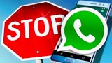 WhatsApp: nuova stretta su alcuni smartphone Android. Ecco su quali non funzionerà nel 2021