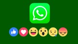 WhatsApp: presto potrete reagire ai messaggi con qualsiasi emoji