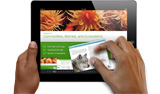 Apple prepara Lion per i nuovi Retina display
